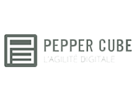 Pepper Cube